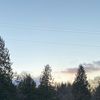 cedarsim